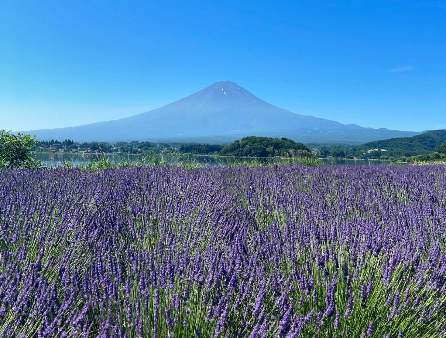 Furinkazan 風林火山 ฟูจิคาวากุจิโกะ